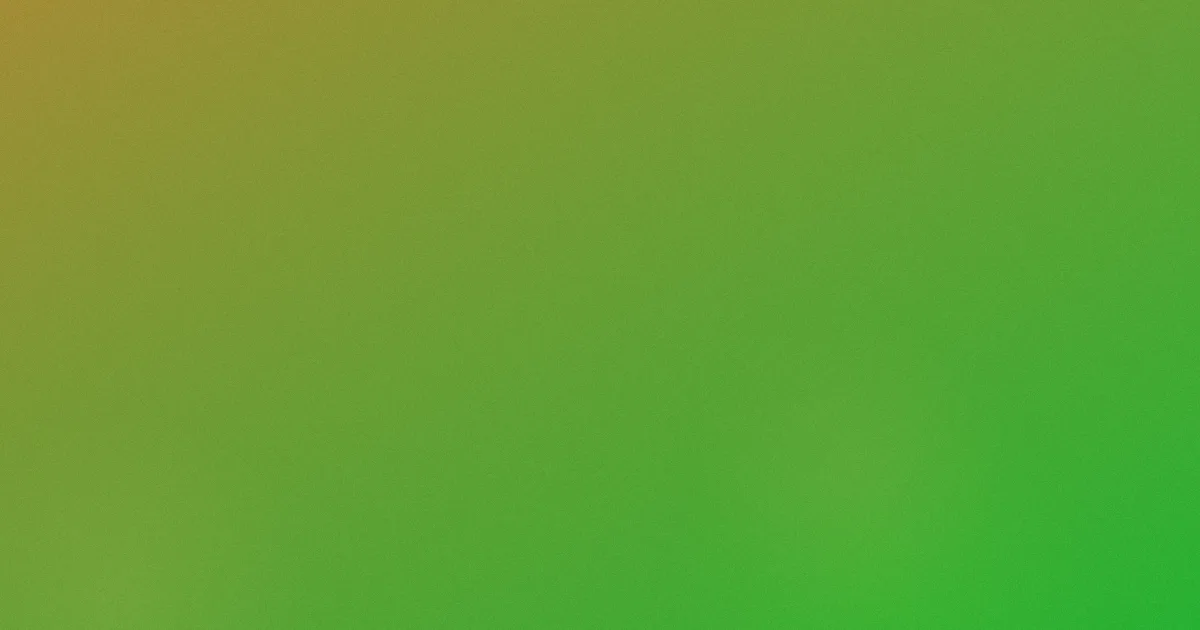 那个少女不多情对比复盘